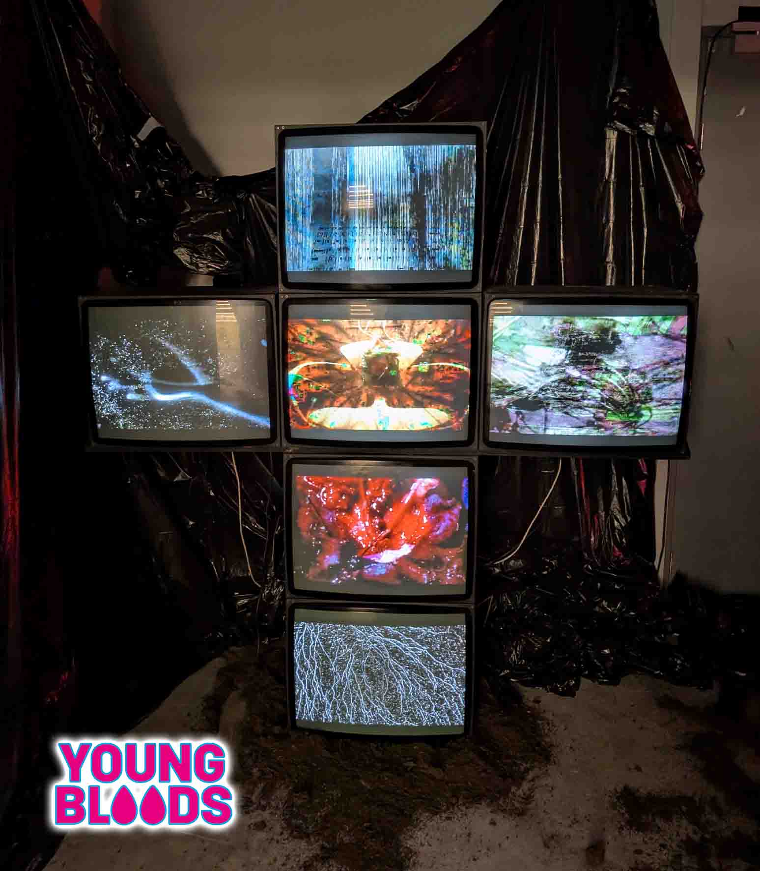 LAILA CHAOUI - CORPUS GLITCH image